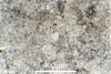 Link to full size image of micrograph 303