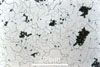 Link to full size image of micrograph 369