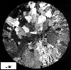 Link to full size image of micrograph 656