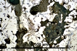 Link to full size image of micrograph 890