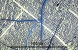 Link to full size image of micrograph 898