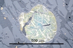 Link to full size image of micrograph 906