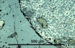Link to full size image of micrograph 937