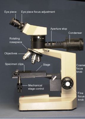 Reflection microscope